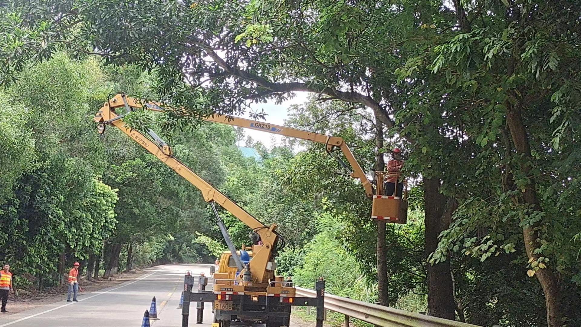 郁南縣公路事務(wù)中心未雨綢繆防臺風(fēng)清理危樹除隱患（新）(1)（副本）.doc_2