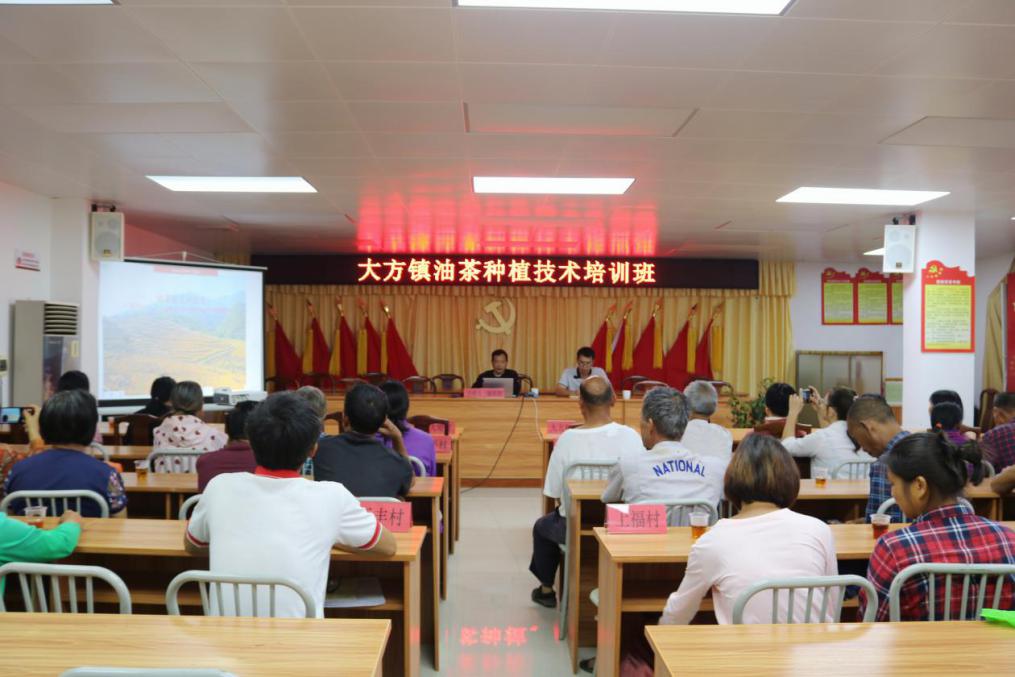 鎮(zhèn)驛站邀請林業(yè)專家梁廷勝到大方開展油茶種植技術(shù)培訓.jpg